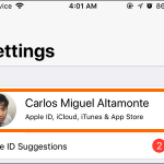 iPhone Settings iCloud ID