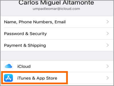 iPhone Settings iCloud iTunes and App Store