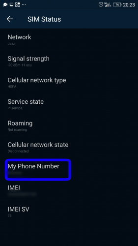 How to use multiple phone numbers on one device