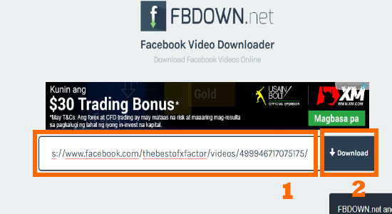 FBDown.Net Paste Link