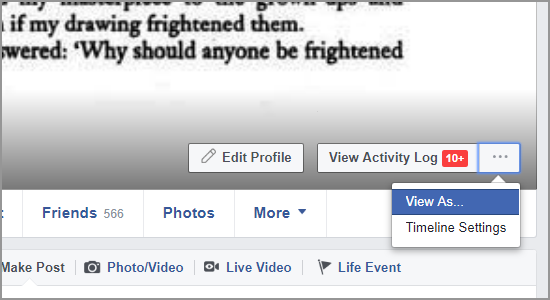 Facebook Timeline View As