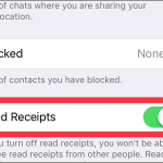 WhatsApp Settings Account Privacy Read Receipts