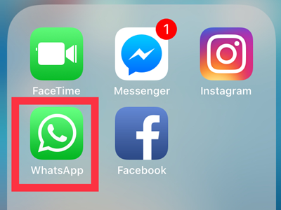 WhatsApp icon