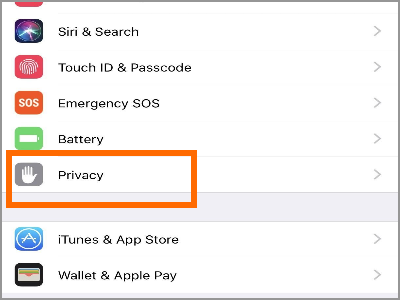 iPhone Settings Privacy