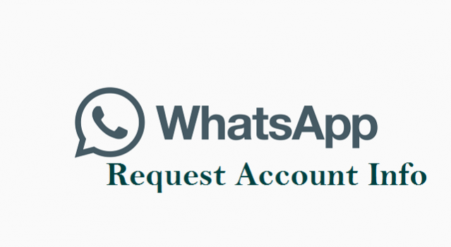 Request Account Info on WhatsApp