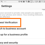 Instagram Profile Menu Settings Request Verification