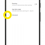 Google Pixel 3 Settings Network and Internet Mobile Network Advanced