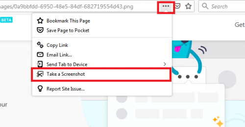  Take Screenshot On Mozilla Firefox