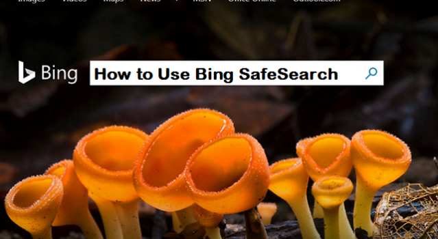 use bing safesearch