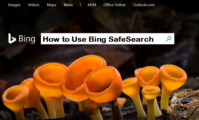 use bing safesearch