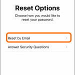 iPhone Settings Apple ID Forgot Apple ID Reset Options Reset by Email