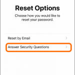 iPhone Settings Apple ID Forgot Apple ID Reset Options Security Questions