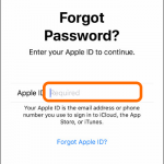 iPhone Settings Apple ID Forgot Apple ID Username