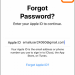 iPhone Settings Apple ID Forgot Apple ID Username Next