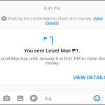 Messenger Conversation Send Money Success