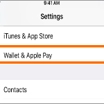 iPhone Settings Wallet & Apple Pay