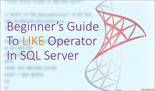 Beginner's Guide To LIKE In SQL Server