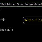 How To Use BCP In SQL Server