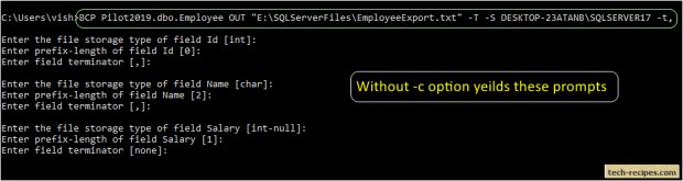 How To Use BCP In SQL Server