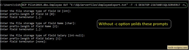 How To Use BCP Utility In SQL Server