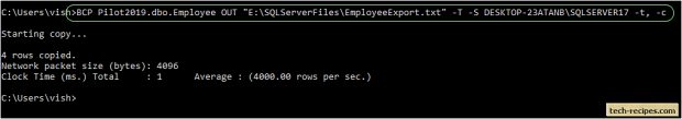 How To Use BCP In SQL Server_1