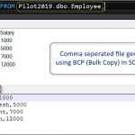 How To Use BCP In SQL Server_2