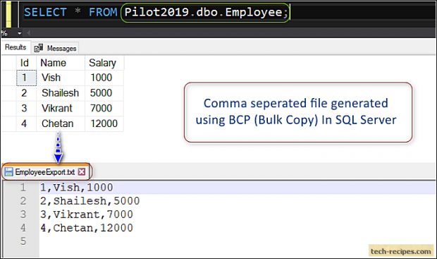 How To Use BCP In SQL Server_2