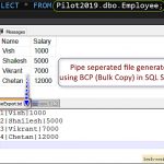 How To Use BCP In SQL Server_5