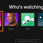 Choose Netflix Account