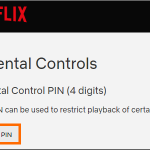 Netflix Account Settings Parental Controls Enter Password Create PIN