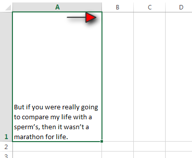 How to Wrap your Text in Excel Tutorial Step 4