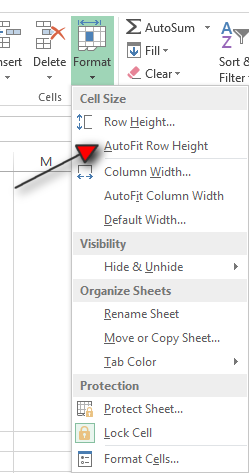 How to Wrap your Text in Excel Tutorial Step 5