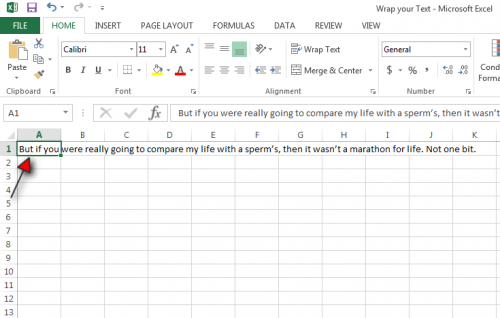 How to Wrap your Text in Excel Tutorial Step 2