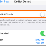 iPhone Home Settings Do Not Disturb icon