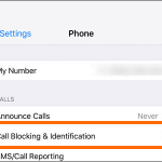 iPhone Home Settings Phone Call Block and Identification