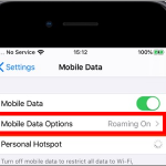 iPhone Settings Mobile Data Mobile Data Options