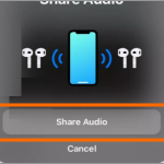 iPhone Share Audio button 2