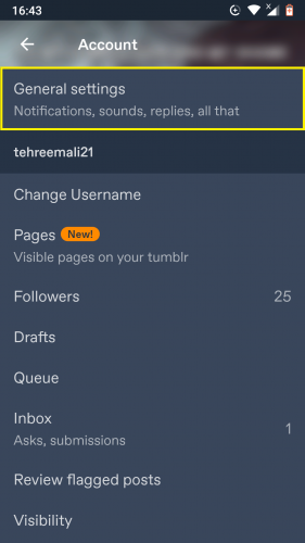 Accessing General settings on Tumblr