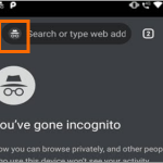 Google Chrome Incognito Icon