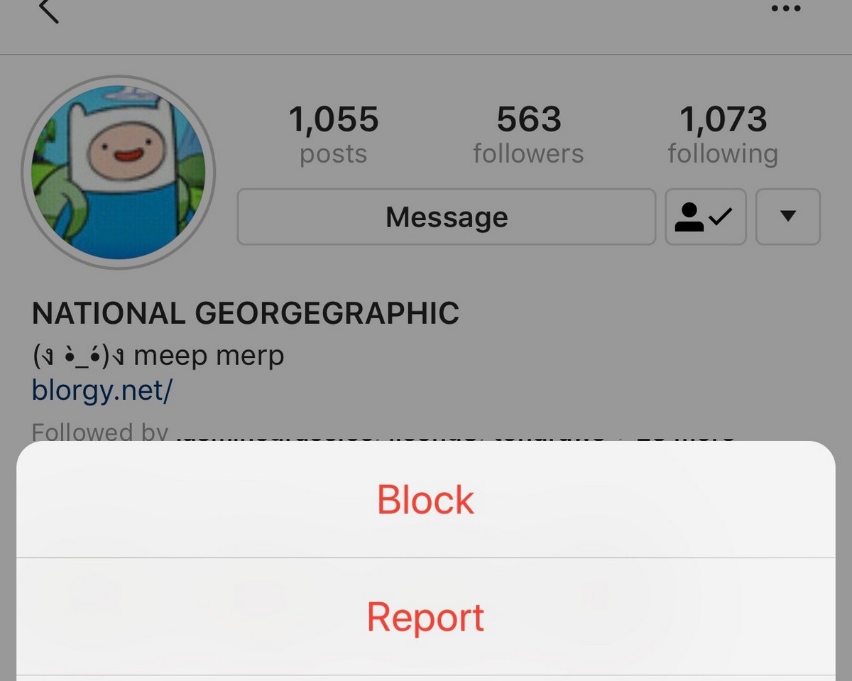 Restrict vs block instagram