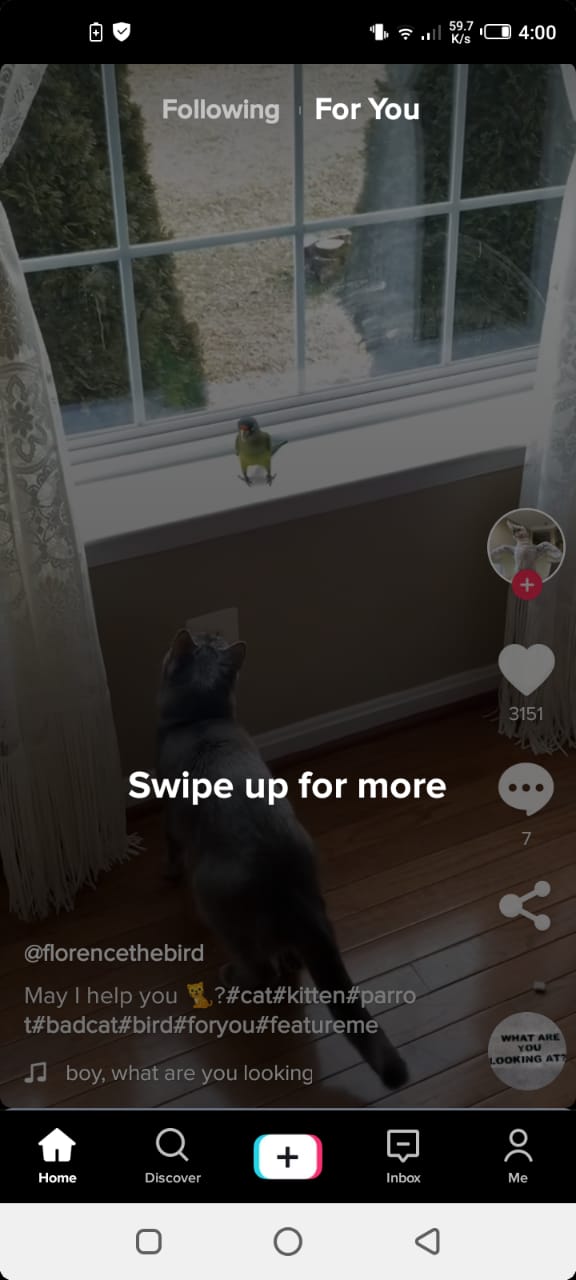 How to Pin Stickers to your TikTok Videos A Complete Guide