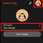 Netflix Party 10