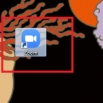 zoom1