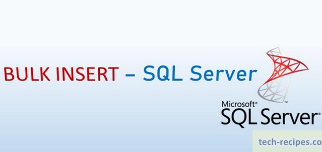 BULK INSERT SQL Server Import Data Header