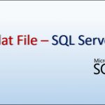 Import Flat File Data SQL Server_Header