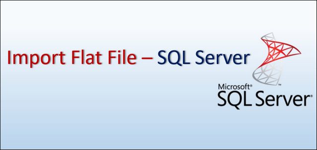 Import Flat File Data SQL Server_Header