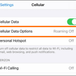 iPhone 12 Settings Cellular Data Options
