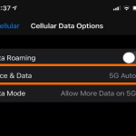 iPhone 12 Settings Cellular Data Options Voice and Data