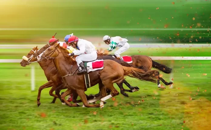 Top 5 Horse Racing Bookmakers in the Philippines
