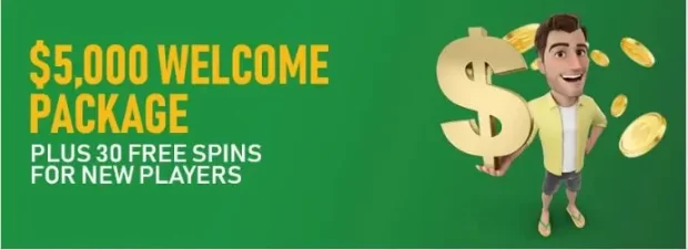 Joe Fortune Casino Bonuses and Promotions